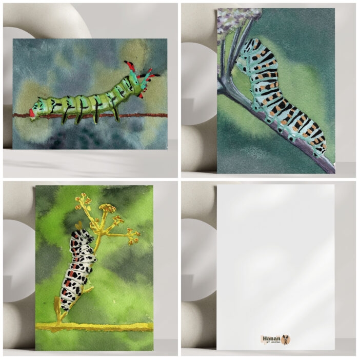 Handmade Greeting Cards Set caterpillars