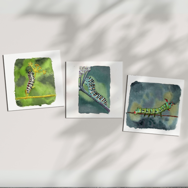 Handmade Watercolor Paintings Caterpillar on Branch