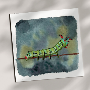 Handmade Watercolor Paintings Caterpillar on Branch